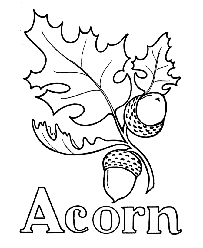 Acorn On Leaf Coloring Page
