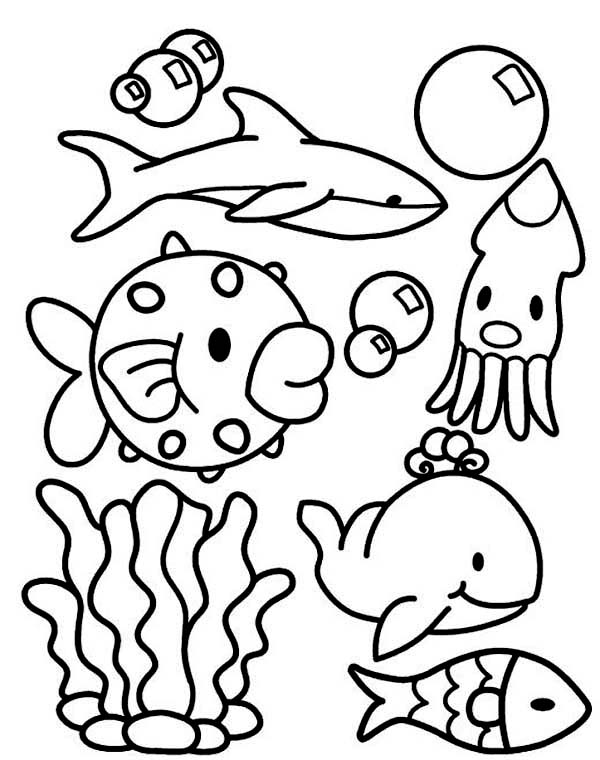 Animals in the Ocean Coloring Page