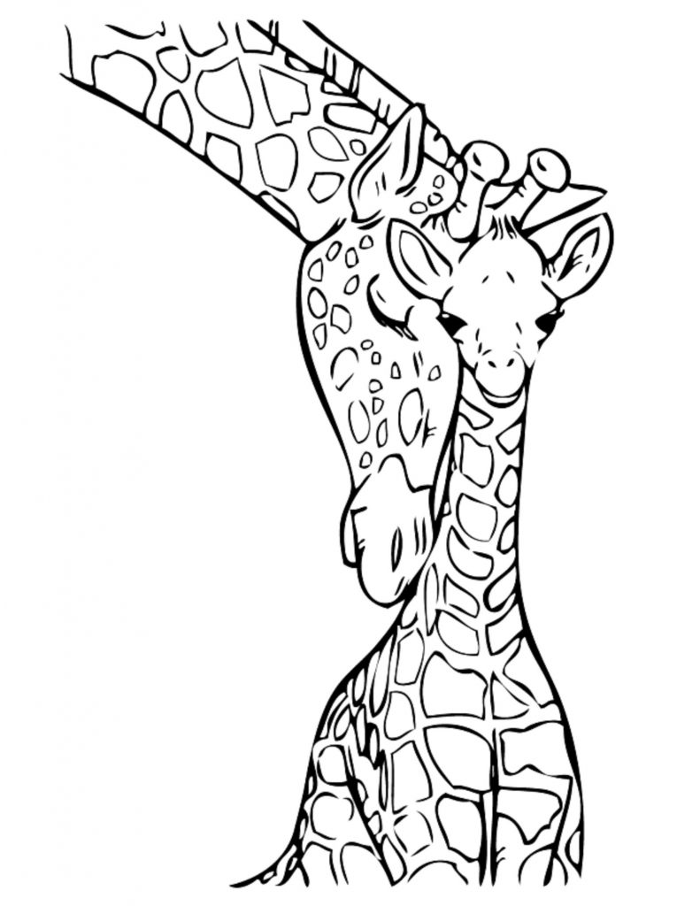 Baby Giraffe - Jungle Coloring Pages