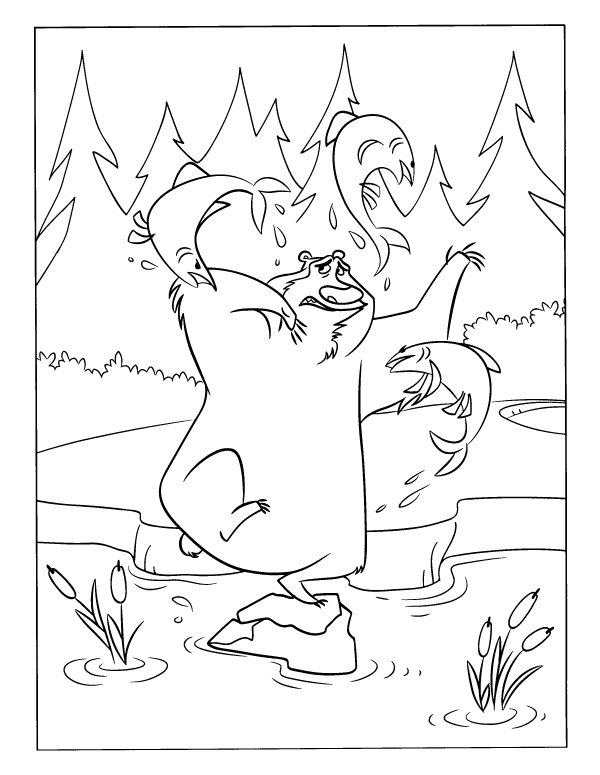 Bear In The Forest Coloring Page