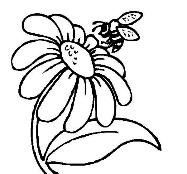 Bee on Daisy Flower Coloring Page