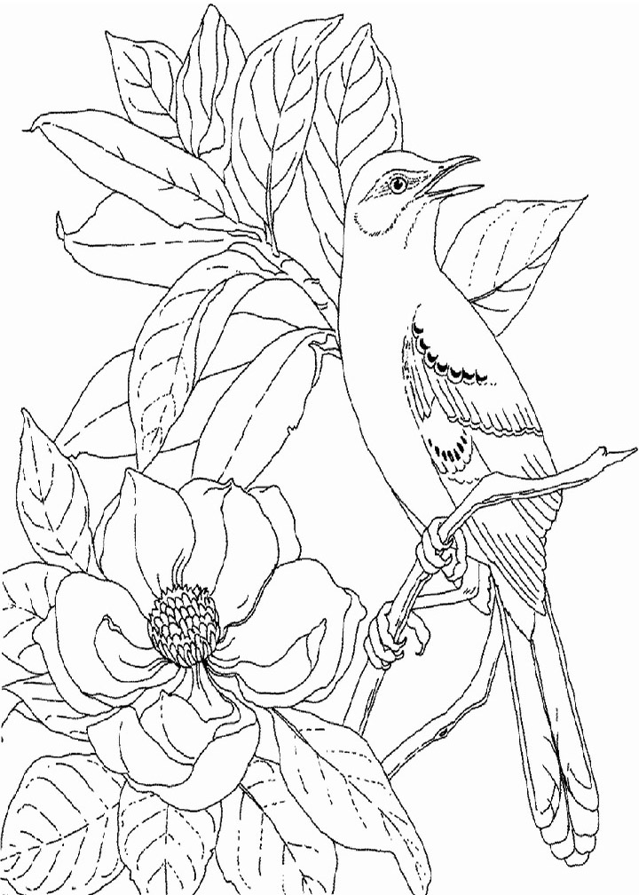 Bird In Magnolia Flowers Coloring Page