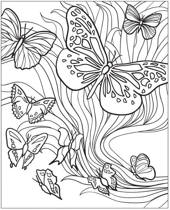 Butterfly Insects Coloring Page