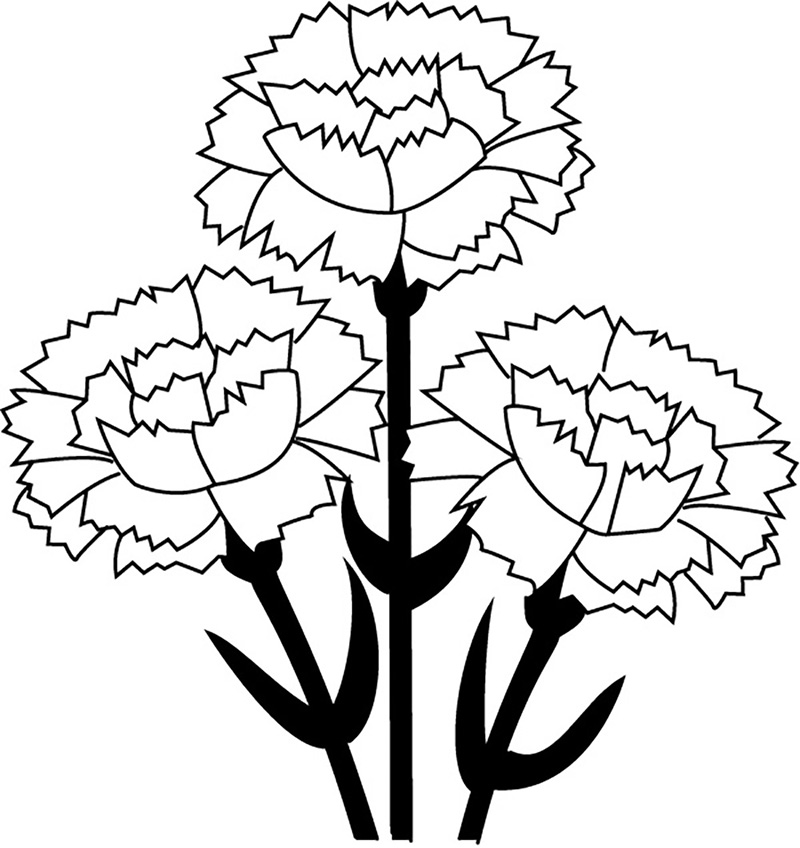 Carnations Coloring Page