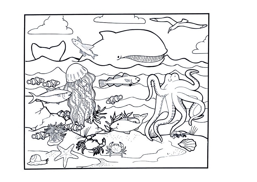 Coloring Pages of The Ocean