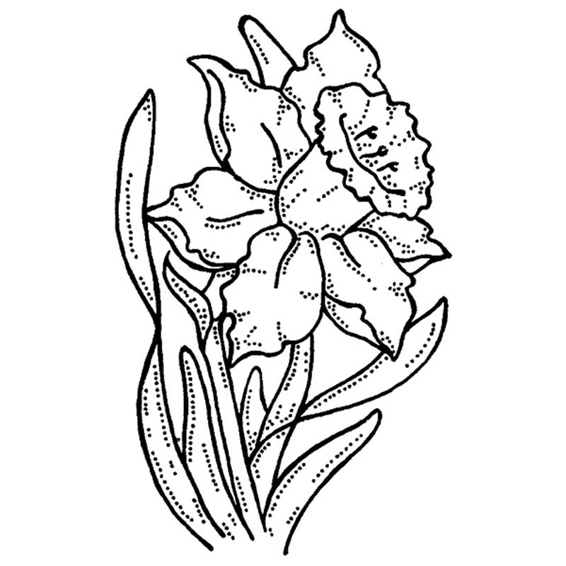 Daffodil Coloring Page