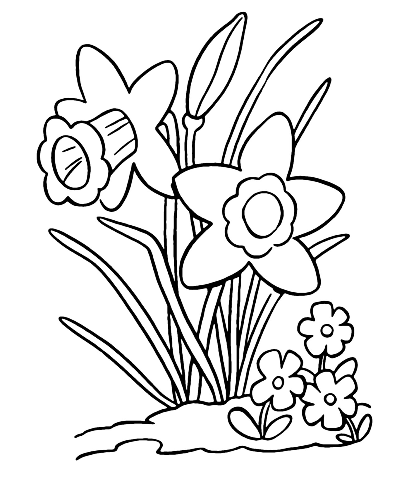 Daffodils Coloring Pages