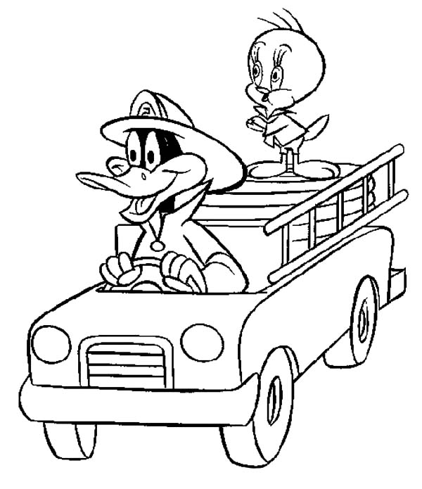 Daffy Duck And Tweety Bird Coloring Pages