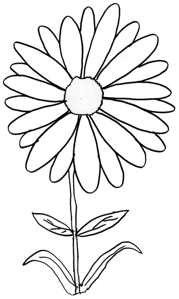 Daisy Printable Coloring Pages