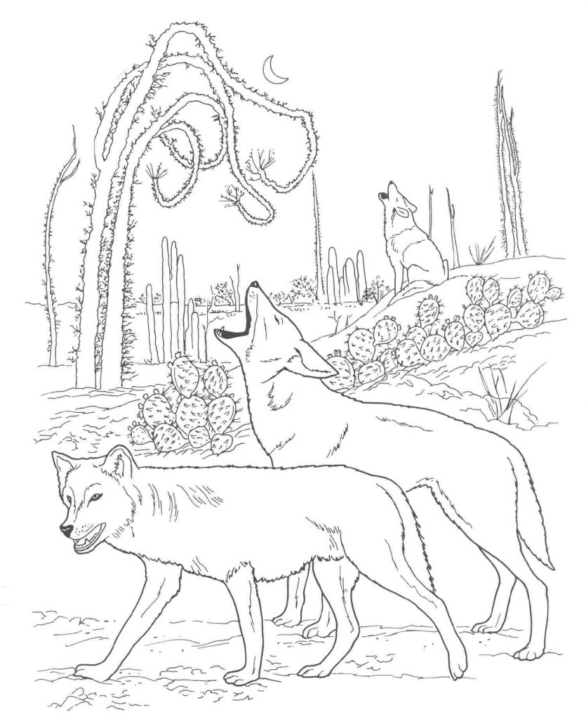 Desert Animals Coloring Pages