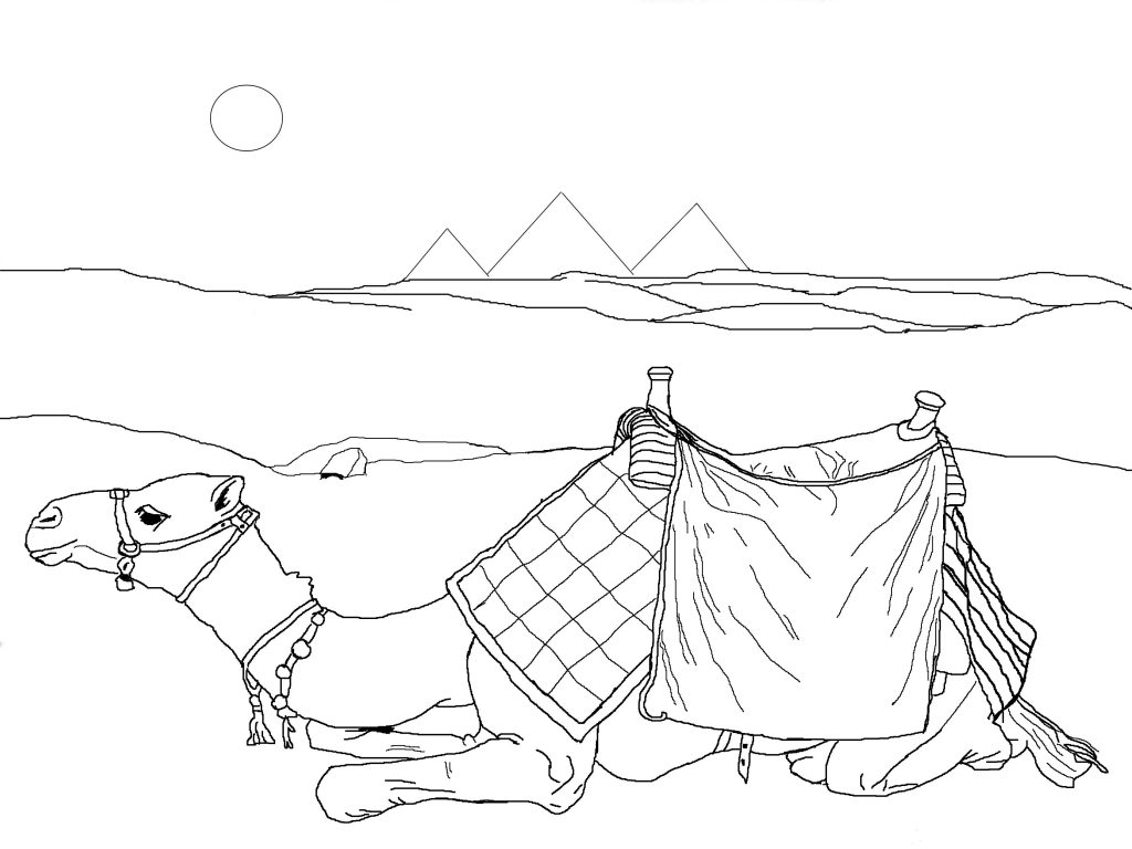 Desert Camel Coloring Page