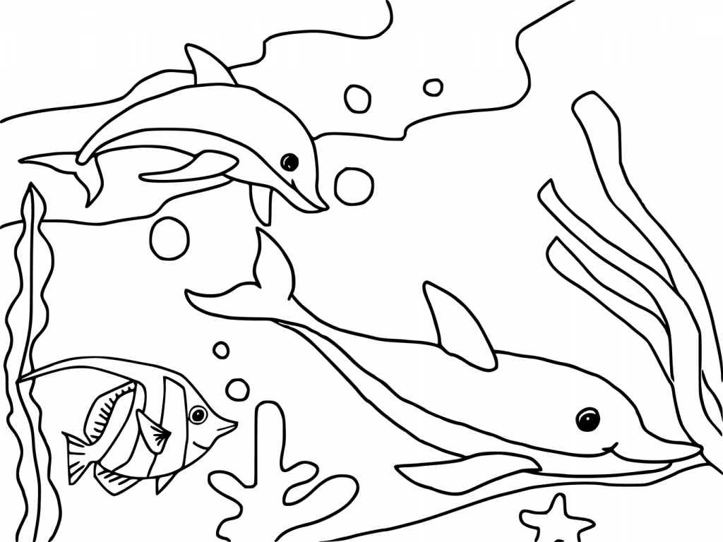 Dolphins in the Ocean Coloring Page