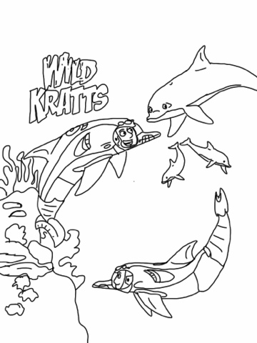 Dolphins Wild Kratts Coloring Pages