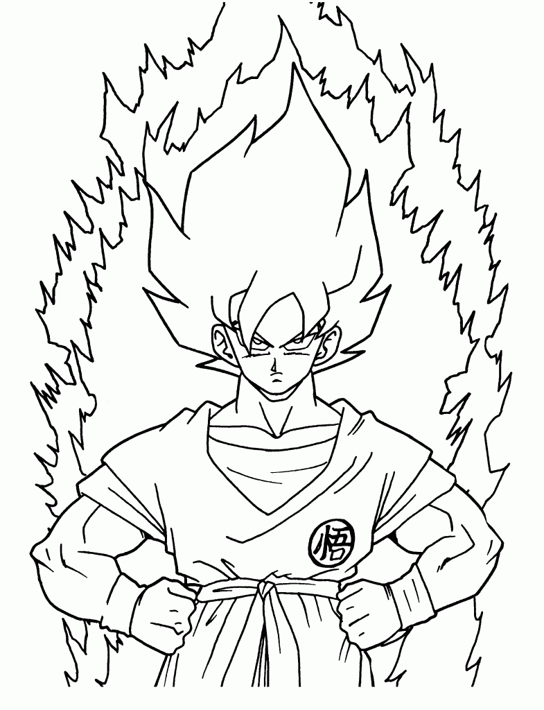 Dragonball Super Saiyan God Goku