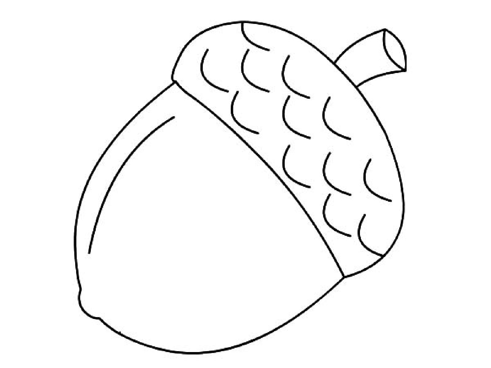 Easy Acorn Coloring Sheet