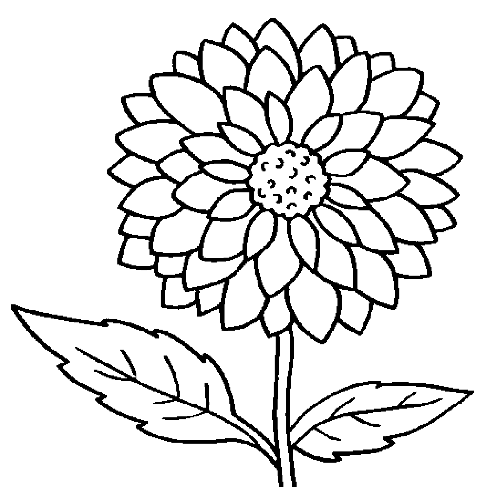 Easy Dahlia Coloring Page