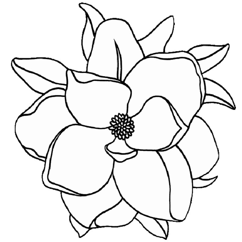 Easy Magnolia Flower Coloring Pages