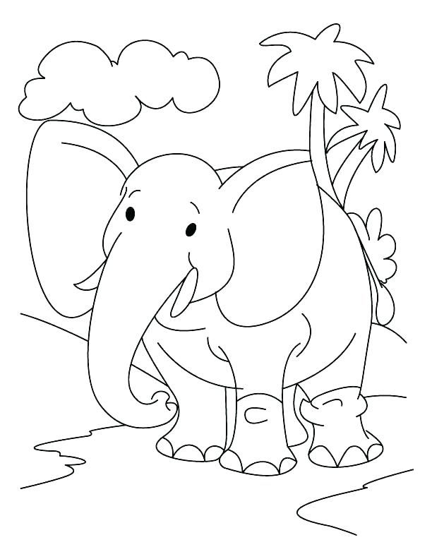 Elephant Jungle Coloring Pages
