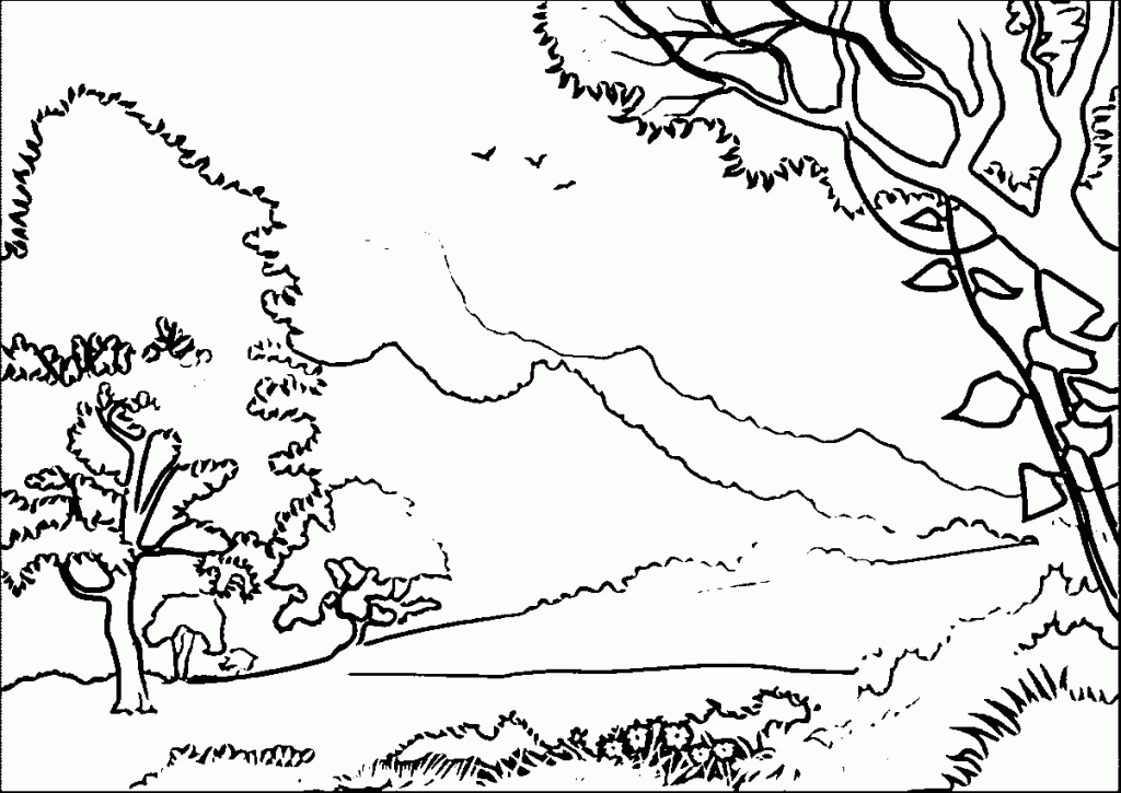 Forest Coloring Pages