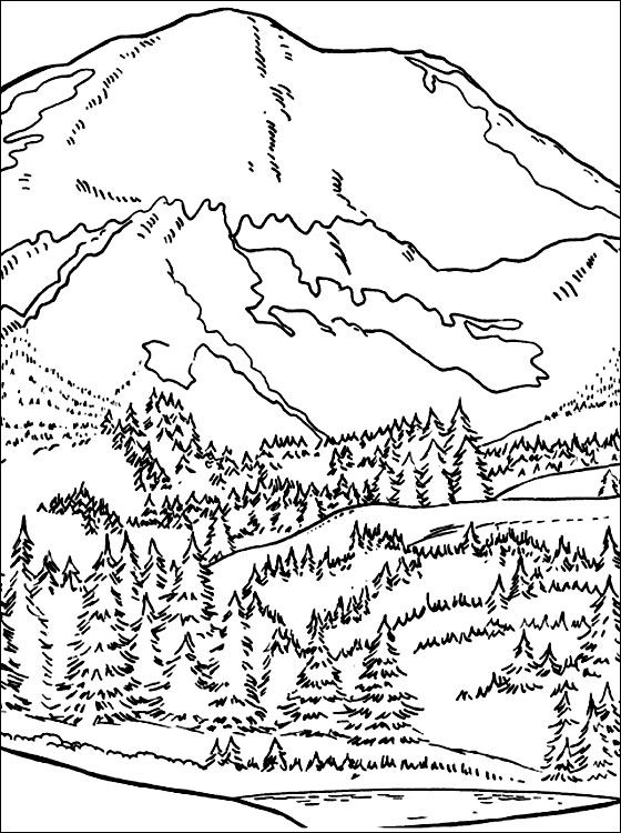 Forest In The Mountains Coloring Page