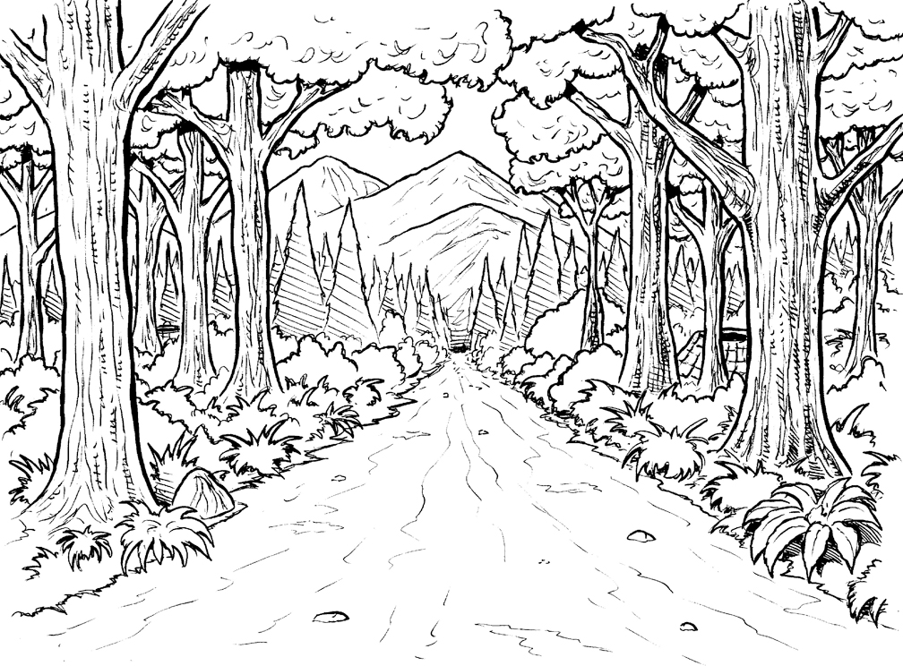 Forest Pathway Scene Coloring Page
