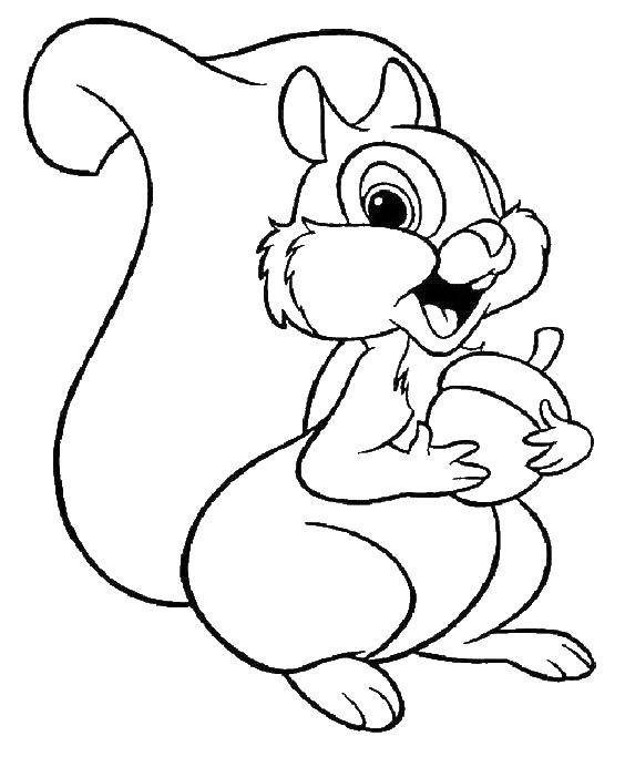 Happy Squirrel With Acorn Coloring Page
