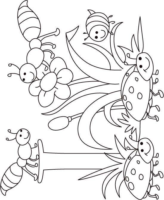 Insects Coloring Pages