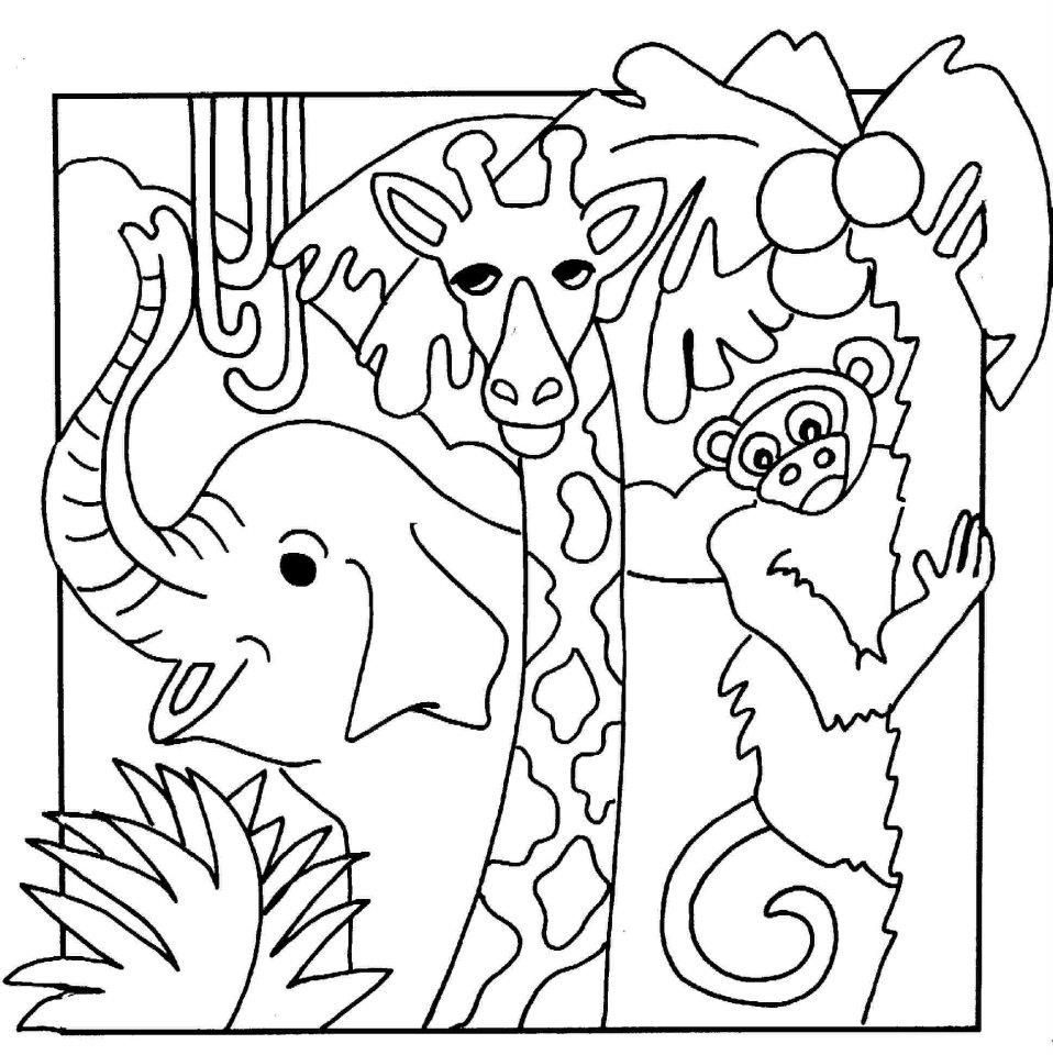 Jungle Animals Coloring Pages