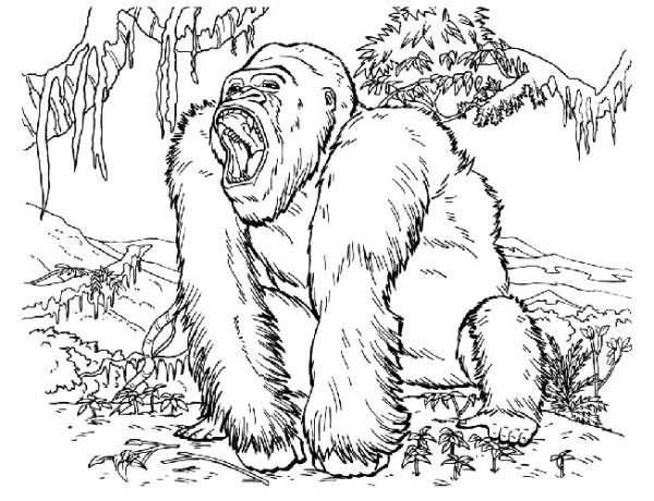 King Kong Coloring Pages