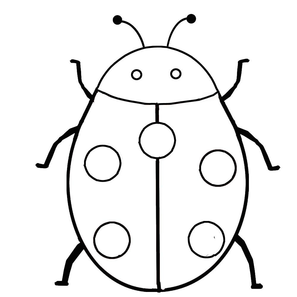 Ladybug Insect Coloring Page