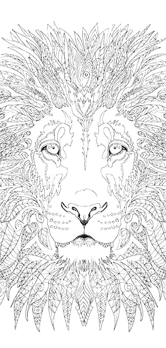 Lion Narnia Coloring Pages