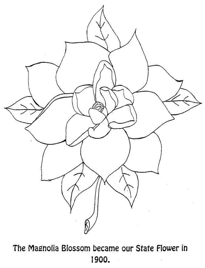 Magnolia Blossom State Flower Coloring Page