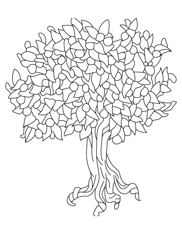 Magnolia Tree Coloring Page