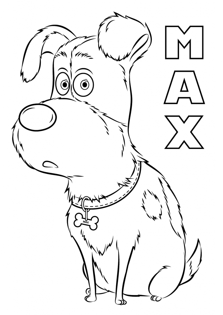 Max The Secret Life of Pets Coloring Pages
