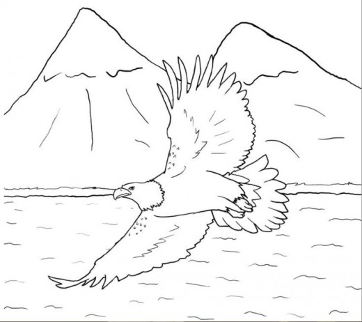 Mountain Eagle Coloring Page Printable