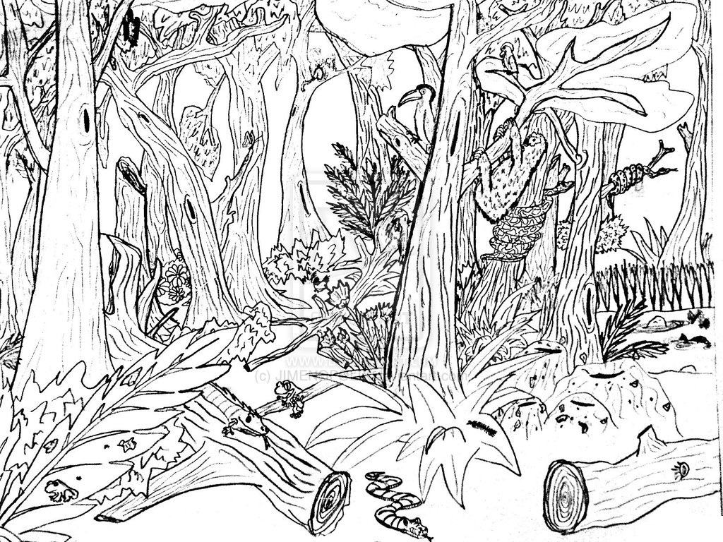Nature Coloring Pages Kids Printable