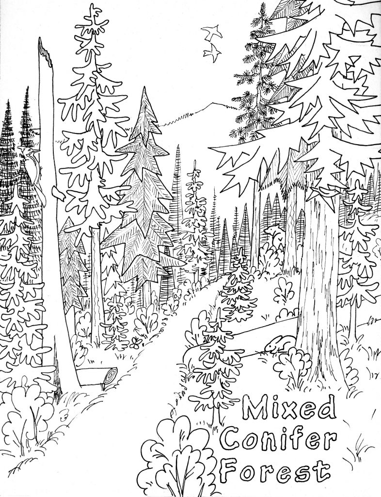 Nature Coloring Pages to Print