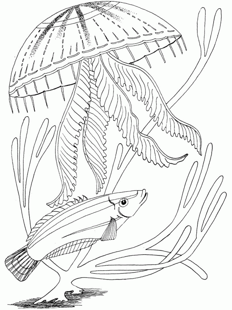 Ocean Coloring Page