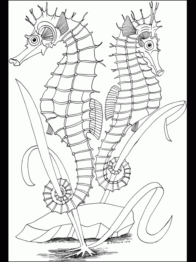 Ocean Coloring Pages For Kids