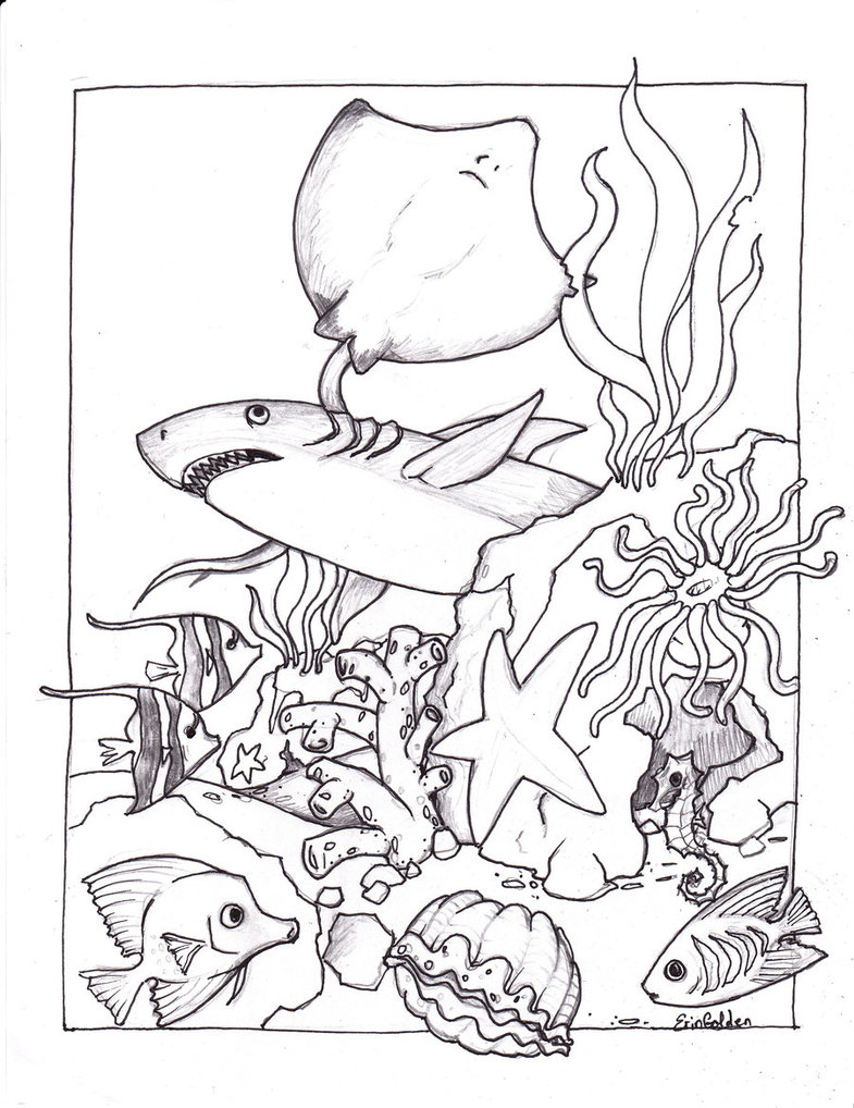 Ocean Creatures Coloring Pages