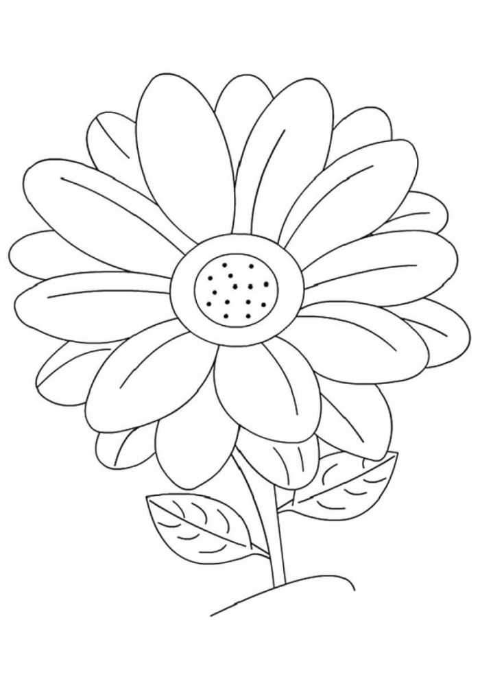 One Daisy Flower Flower Coloring Page