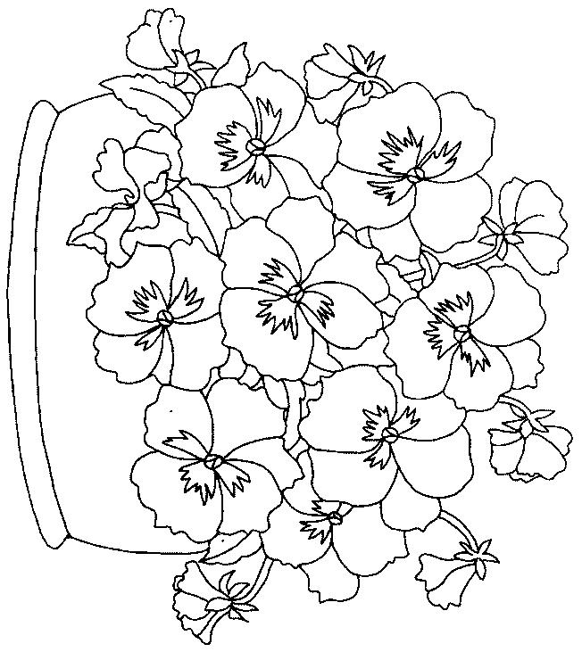 Pansy Basket Coloring Pages