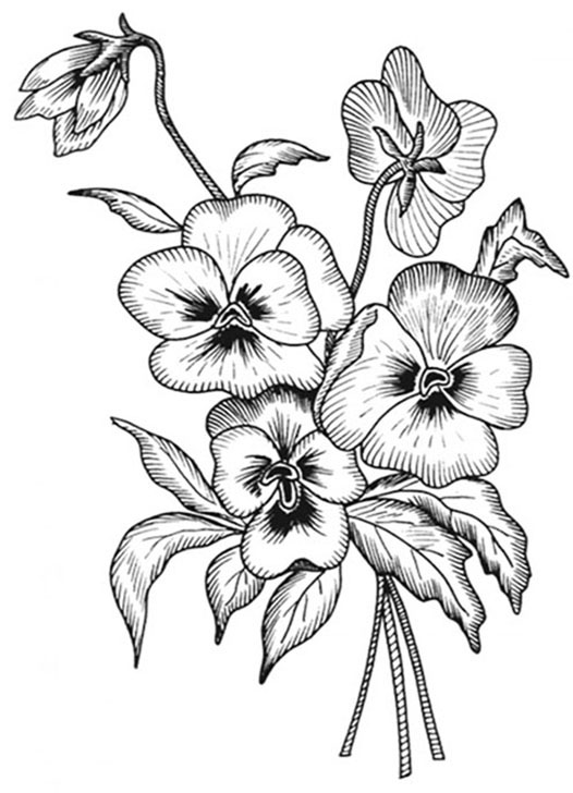 Pansy Bouquet Coloring Pages