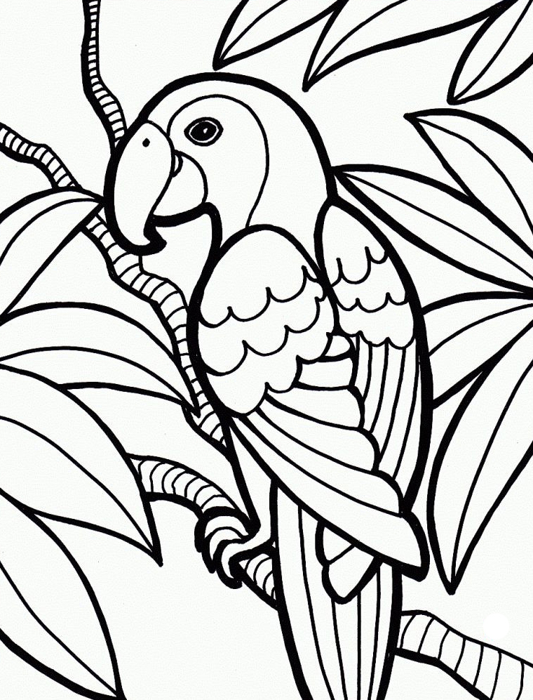 Parrot Jungle Coloring Pages