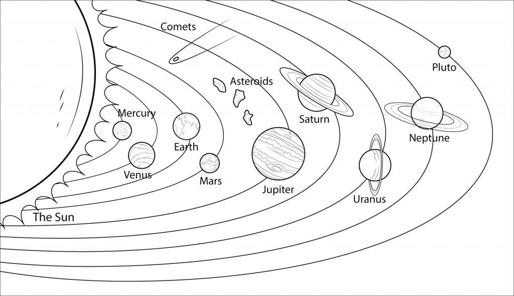 Plants in Orbit Worksheet