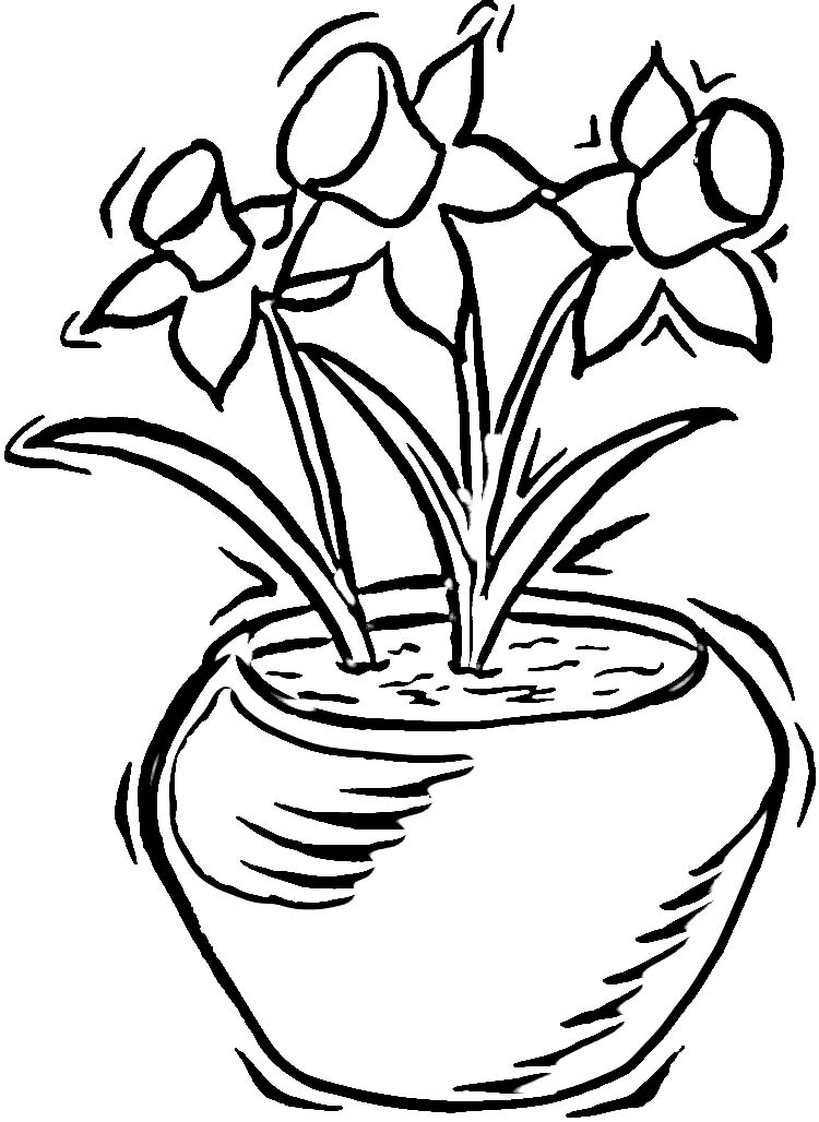 Pot Of Daffodils Coloring Page