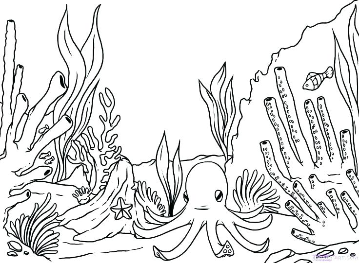 Printable Ocean Scene Coloring Page