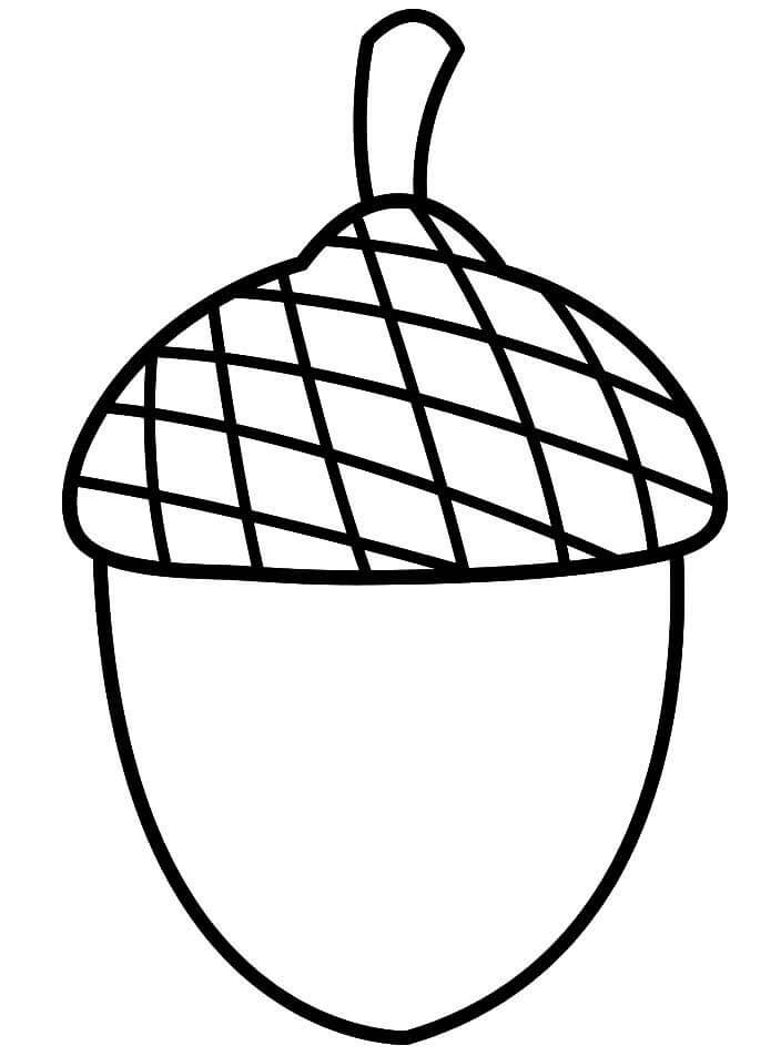 Printable Acorn Coloring Pages