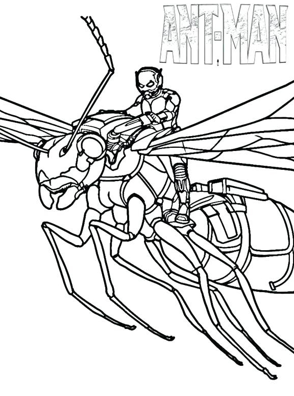Printable Ant Man Coloring Page
