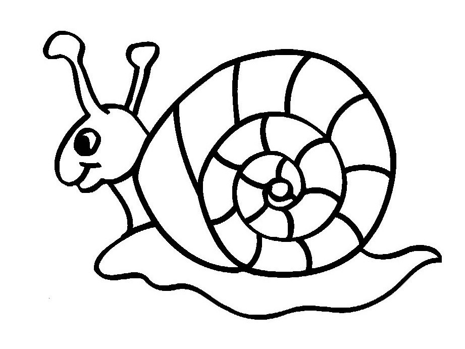 Snail Insect Coloring Pages